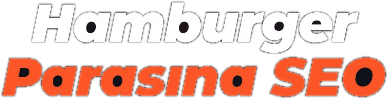 Hamburger Parasına SEO