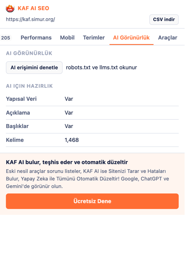 Yapay Zekâ Erişimi